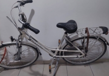 Gazelle hollanda bisikleti