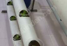 Topraksız Tarım Sistemi